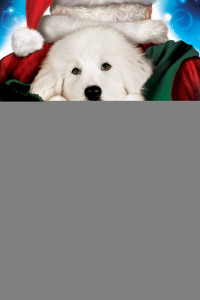 The Search for Santa Paws - The Search for Santa Paws